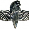 Georgia Army unknown badge, metal