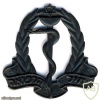 Medical corps hat badge, after 1991
