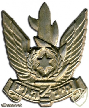Israel Air Force Beret Badge  img359