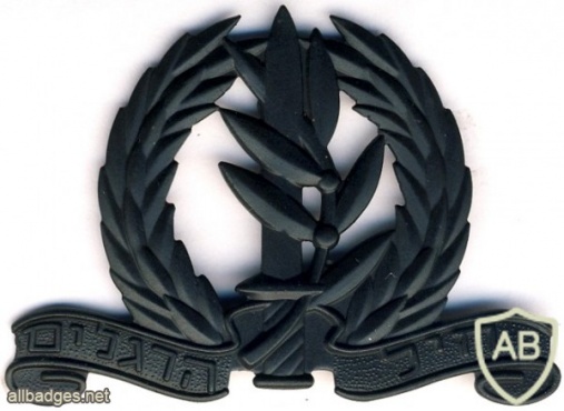 Israel Defence Forces Infantry Corps Beret Badge img363
