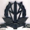 Communications corps hat badge img382