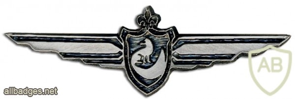 Intelligence Corps- 8 img458