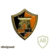 601st Assaf battalion img394
