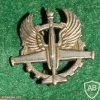 Unidentified badge img692