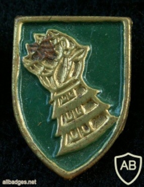 חטיבת אגרוף הברזל - חטיבה- 514 ( חטיבה- 200, חטיבה- 205 ) img941