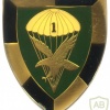 SOUTH AFRICA 44 Para Bde, 1 Parachute Battalion arm flash, type I , left