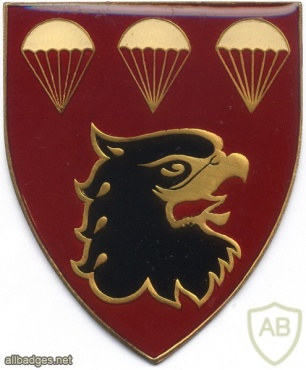 SOUTH AFRICA 44 Para Bde, 3 Parachute Battalion arm flash, right img1396