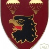 SOUTH AFRICA 44 Para Bde, 2 Parachute Battalion arm flash, left