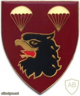 SOUTH AFRICA 44 Para Bde, 2 Parachute Battalion arm flash, left img1393