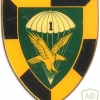 SOUTH AFRICA 44 Para Bde, 1 Parachute Battalion arm flash, type II ,right