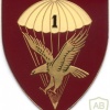 SOUTH AFRICA 44 Para Bde, 1 Parachute Battalion arm flash, type III , left