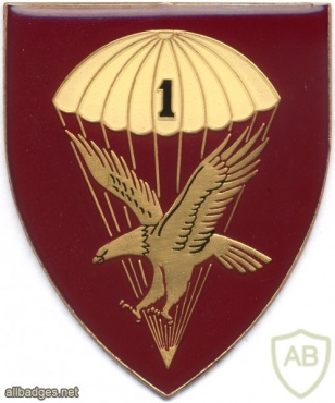 SOUTH AFRICA 44 Para Bde, 1 Parachute Battalion arm flash, type III , left img1392