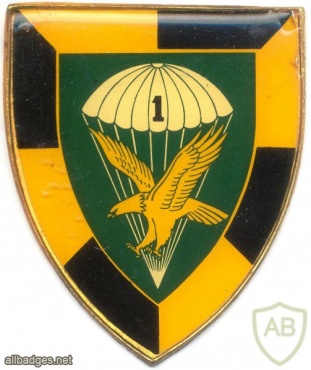 SOUTH AFRICA 44 Para Bde, 1 Parachute Battalion arm flash, type II , left img1390