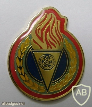 Guide badge img1360