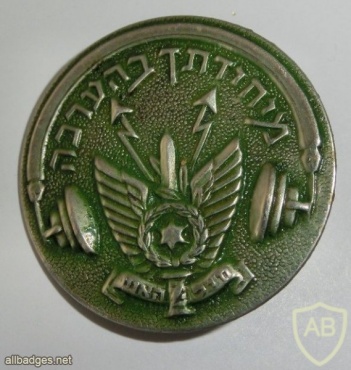 Unidentified badge- 12 img1374
