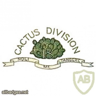 18th Division img1421