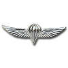"Крылья" - Нагрудный знак парашютиста img1679