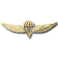 "Крылья" - Нагрудный знак парашютиста img1680