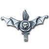 96th Lavi Battalion img1716