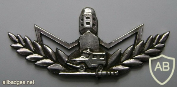 Знак бойца Пограничной охраны (МАГАВ) img1776