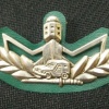 לוחם משמר הגבול img1983