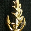 Platoon commander - Navy img2014