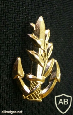 Platoon commander - Navy img2014