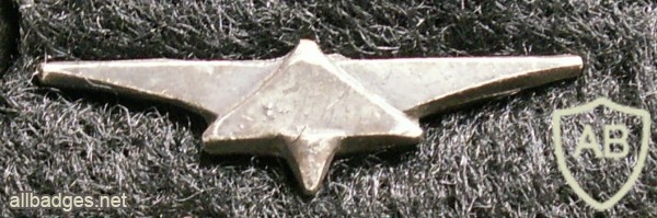 Unidentified badge- 16 img2121