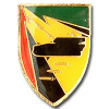 425th Artillery Divisional - The flame of fire Formation img2279