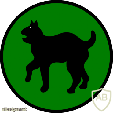 81st Infantry Division img2380
