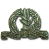 Israel Defence Forces Infantry Corps Beret Badge img2322