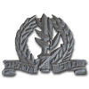 Israel Defence Forces Infantry Corps Beret Badge img2323