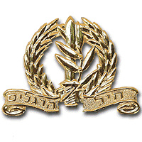 חיל הרגלים- זהב img2369