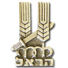 10th Harel Brigade img2227