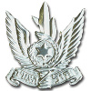 Israel Air Force Beret Badge  img2314