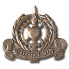 Ordnance corps hat badge, after 1991 img2316