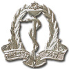 Medical corps hat badge, after 1991 img2325