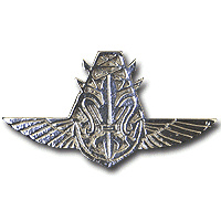 Unidentified badge- 6 img2455