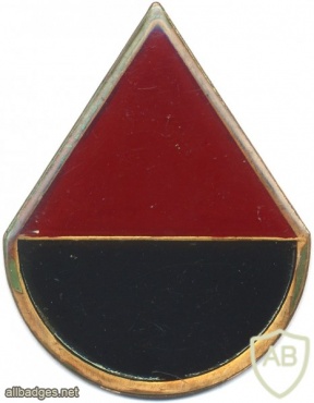 SOUTH AFRICA 44 Para Bde, Delta Company arm badge img2471