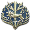 372nd Segev battalion - Central command img2540