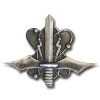 Unidentified badge- 5 img2532