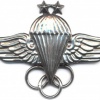 EGYPT Parachute Instructor wings, 2nd Class