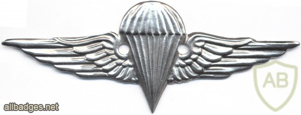 EGYPT Parachutist wings, 4th Class img2672
