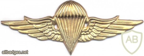 EGYPT Parachutist wings, 4th Class img2675