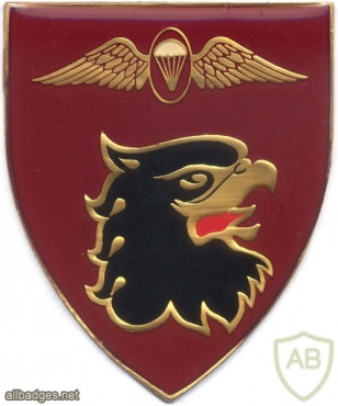 SOUTH AFRICA 44 Para Bde, Freefall Parachute Instructor arm flash, proposed , right img2578