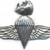SUDAN Parachutist wings img2615