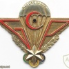 GABON Parachutе Commando Group wings