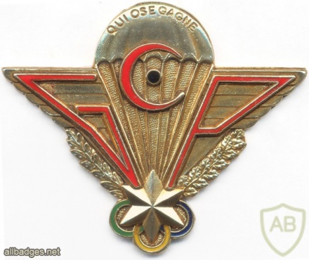 GABON Parachutе Commando Group wings img2684