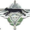 MOROCCO Commando Parachutist wings