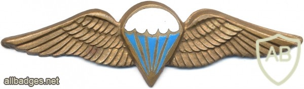 SOUTH AFRICA Parachutist qualification wings, Static line img2599